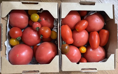 みんなの投稿の画像