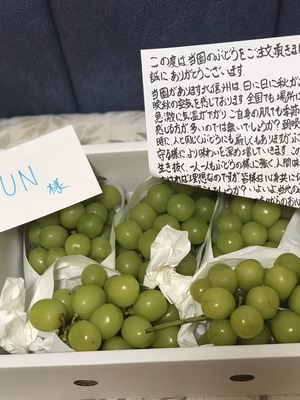 みんなの投稿の画像