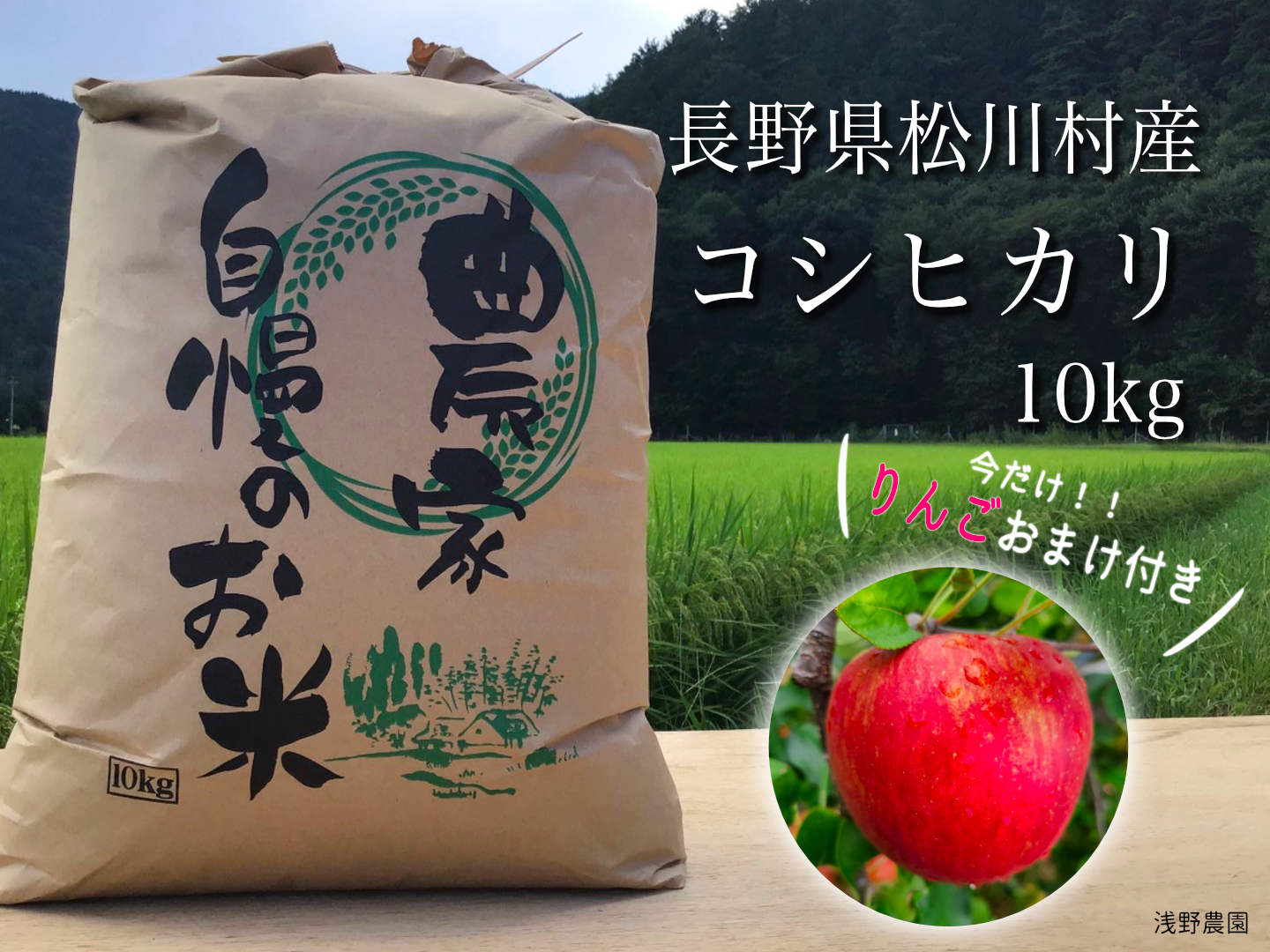 人気ぶどう３種食べ比べセット(14-②)　長野県塩尻市産直送