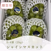 大粒‼︎岡山県産シャインマスカット（２キロ箱）