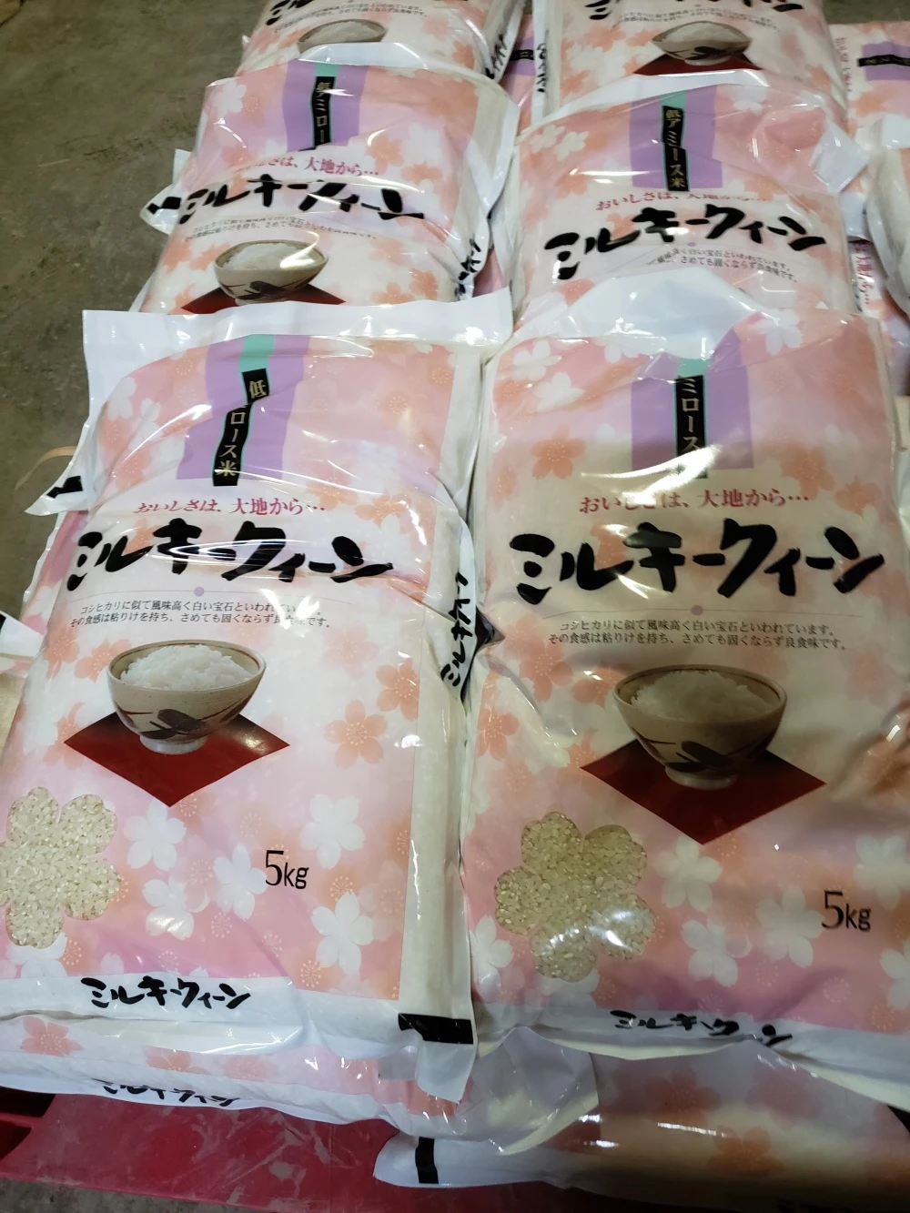 農家が作るミルキークィーンの「なま糠床」940㌘。湯冷まし940cc加えるだけ。
