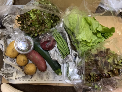 みんなの投稿の画像