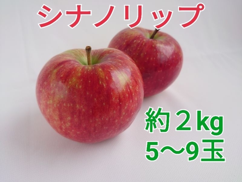 長野県専売リンゴ『シナノリップ』2㎏サイズ箱（5～9玉） | 農家漁師から産地直送の通販 ポケットマルシェ