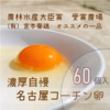 ×60個　卵黄トロ～リ！濃厚自慢の名古屋コーチンの箱売りたまご‼