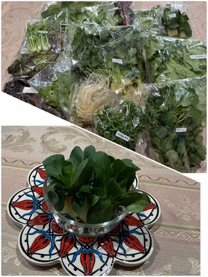 みんなの投稿の画像