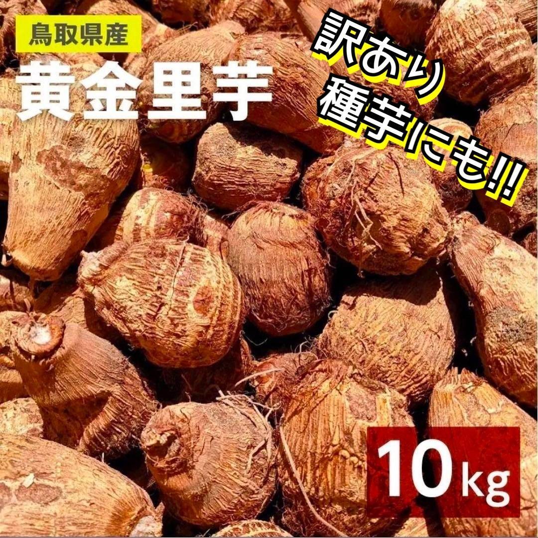 里芋 (白) 20Ｋg - 野菜