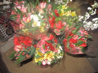 長野産アルストロメリア１8本多彩色