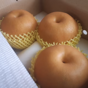 BNi2 [贈答] 大きい甘い香り豊か「新高」２Kg (３玉)