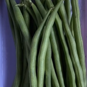 インゲン 「サクサク王子」300g