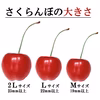 【訳あり】数量限定‼︎コスパ抜群‼︎M、L混合‼︎お買い得‼︎東根産佐藤錦