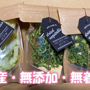 【乾燥野菜セットC】手軽に簡単！栄養凝縮！野菜をチャージ！野菜詰め合わせ☆