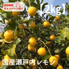 【2㎏／M.Lサイズ】「瀬戸内産国産レモン」