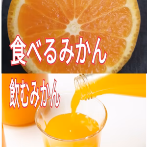 20限定セット!ドライフルーツ付【レア品】有田産　食べるみかん&飲むみかん