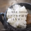 2021年産 マンゲツモチ(もち米) 白米に精米【無農薬・無肥料・天日干し】