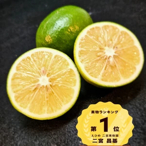 優しい味のグリーンレモン　お得価格