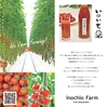 ◆まさに飲むミニトマト！◆「いのいち果」ミニトマトジュース720ml×2本セット