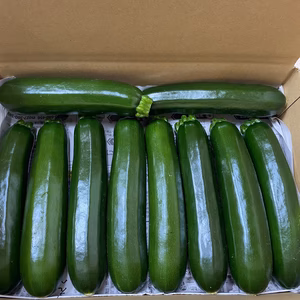 【クール便配送】群馬県産ズッキーニ　10本