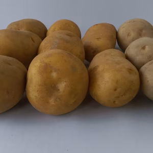 食べ比べ じゃがいも4種類セット