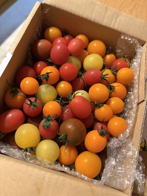 みんなの投稿の画像