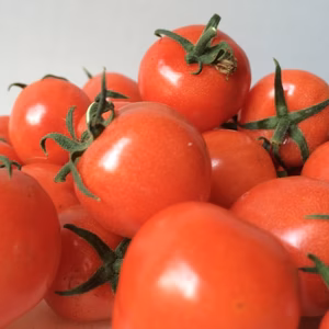 薄皮ミニトマト「プチぷよ」500g