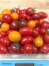 10/30収穫❗️今期最後❗️阪口農園の甘〜いカラフルミニトマト 