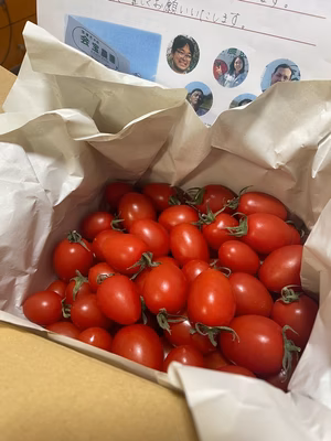 みんなの投稿の画像