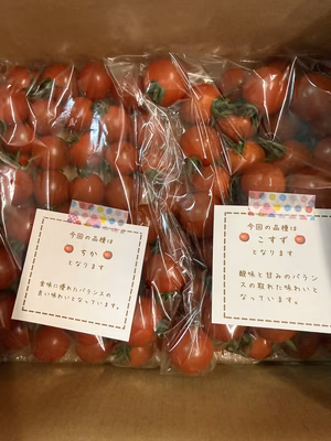 みんなの投稿の画像