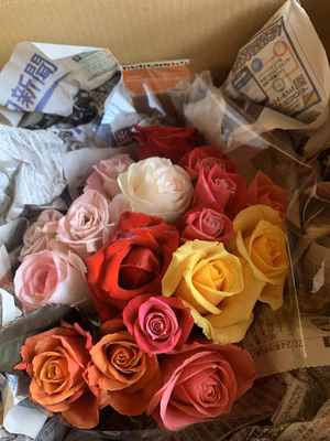 みんなの投稿の画像