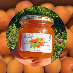 【信州産あんず】≪匠の製法が凝縮！≫ 濃厚あんずジャム