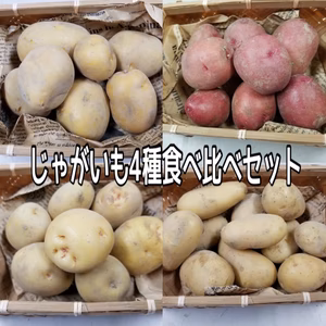 じゃがいも4種食べ比べセット