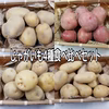 じゃがいも4種食べ比べセット
