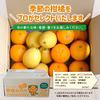 愛媛の旬のかんきつを詰め合わせ！バラエティセット 訳あり3kg