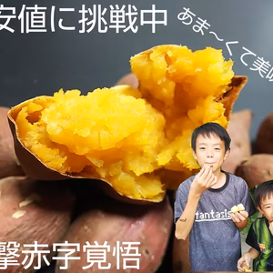 赤字覚悟焼芋解禁セール　1kg 安納芋焼き芋　　激アマ　訳あり特価