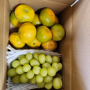 ほどよい酸味と甘味の薄皮!!極早生(高林)みかんと完熟シャインマスカットのセット