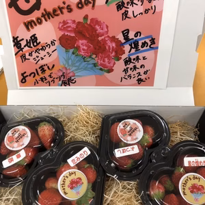 【母の日限定】いちご４品種食べ比べBOX