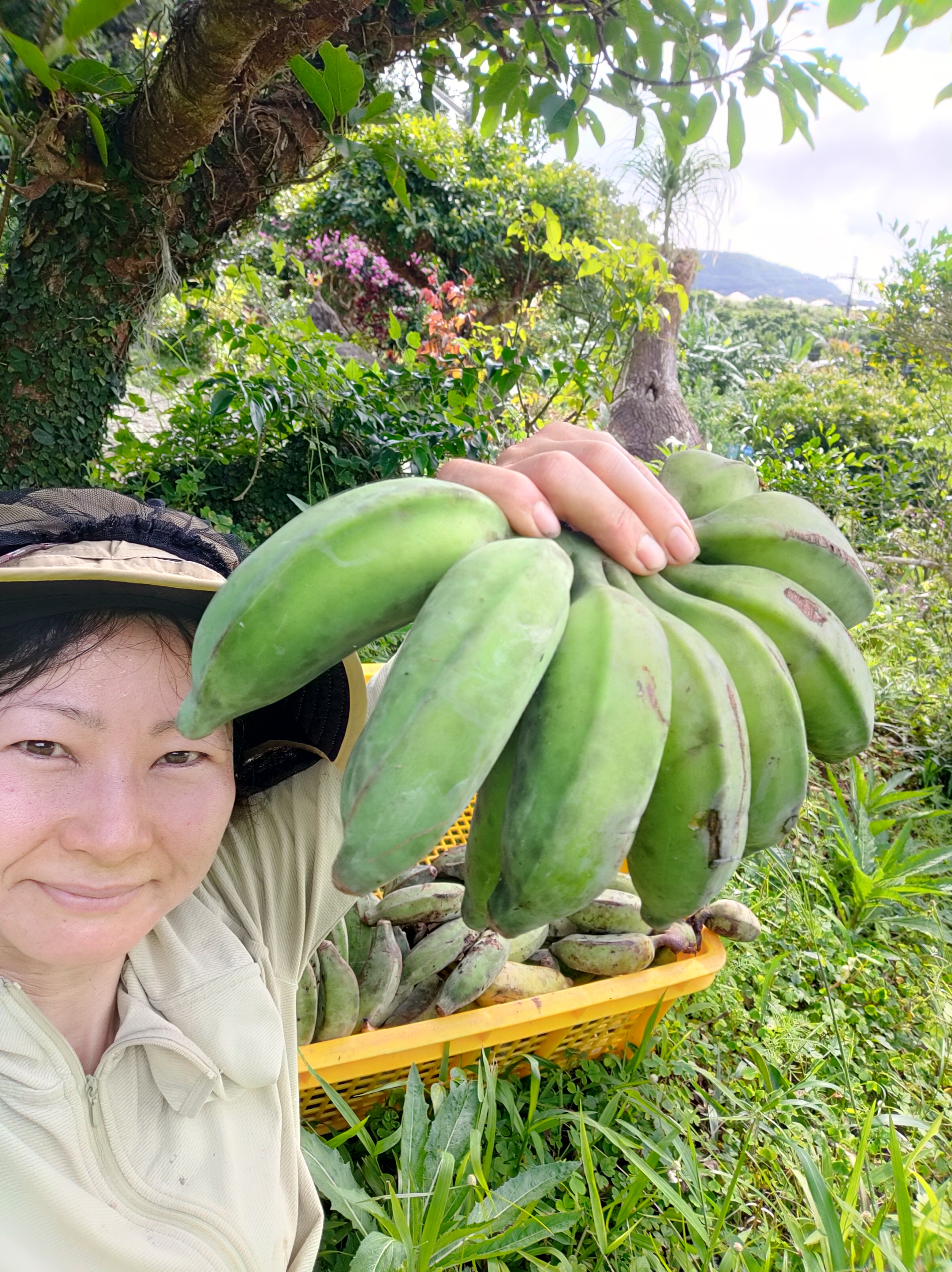 沖縄県国頭郡今帰仁村｜てぃーだふぁーむ｜瀬戸田亜祐美さんの生産者 