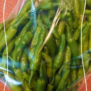 【はぐらうりのおまけ付き】BBQにも！南房総から夏の香り【ししとう】