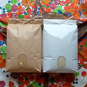 新米✨一等米【エコ梱包】【コシヒカリ玄米2kg&精米2kg】令和6年産
