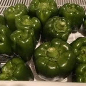 ピーマン、すなっぴー、青トウガラシセット