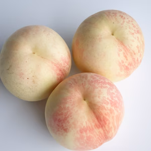 【9月下旬発送】とてもかたい桃 シーエックス CX 2kg