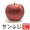 長野県産 サンふじ【贈答用5kg】 減農薬 葉とらず 10月中旬頃出荷予定