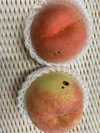 【数量限定】減農薬栽培・訳あり白桃　3kg(5〜10玉)