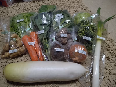 みんなの投稿の画像