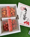 高級品種『紅秀峰』甘くて大きなさくらんぼ！ジューシーで食べ応えあるギフトに人気！