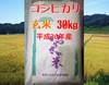 コシヒカリ 玄米 30kg【平成30年産】金沢いやさか米