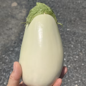 『とろーり旨なす』今が旬の美味しいお野菜