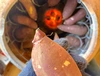 茨城県産 焼き芋‼ねっとり甘い♪つぼ焼き芋(800g)・スイートポテト(6ケ)