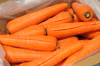 農薬不使用・化学肥料不使用　寒締めジュース用人参【B品】　8kg