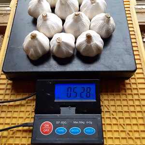 【規格外】B級野菜セット（にんにく、きゅうり）