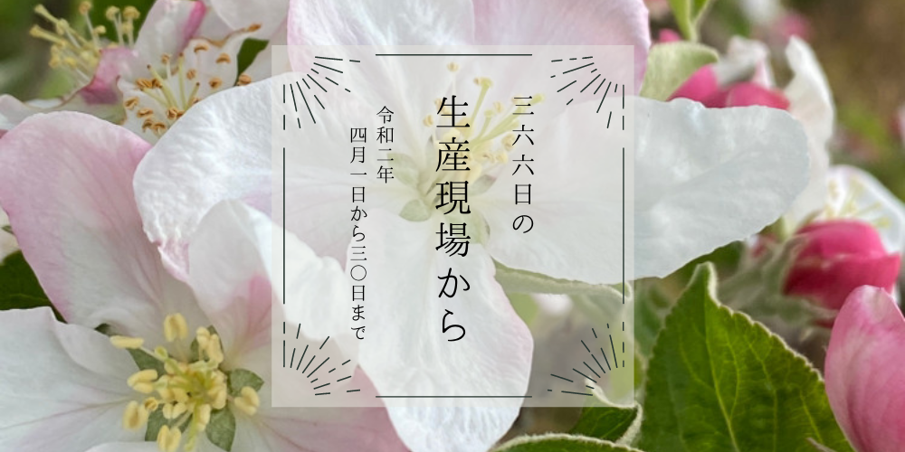 2020年4月の生産現場から[バックナンバー] | 農家漁師から産地直送の